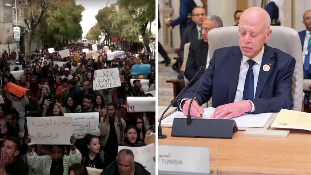 Tunisian president calls for expulsion of migrants as crackdown on his critics continues