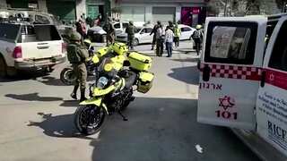 Two Israelis shot dead in West Bank in 'Palestinian terror attack', says government