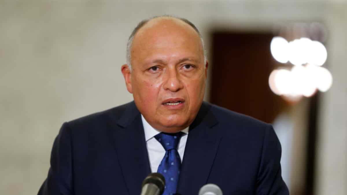 Egypt FM Sameh Shoukry to visit Turkey and Syria for first time in decade