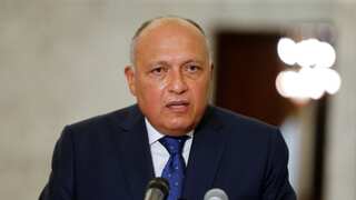 Egypt FM Sameh Shoukry to visit Turkey and Syria for first time in decade