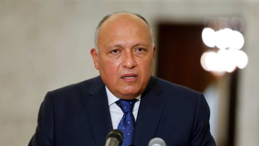 Egypt FM Sameh Shoukry to visit Turkey and Syria for first time in decade