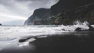 France: Experts concerned after dead dolphins washed up on Atlantic beaches