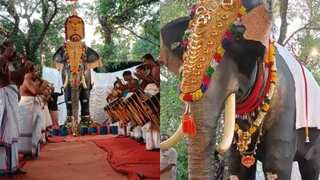 When science and religion come together: Indian temple unveils realistic robot elephant. Watch it here!