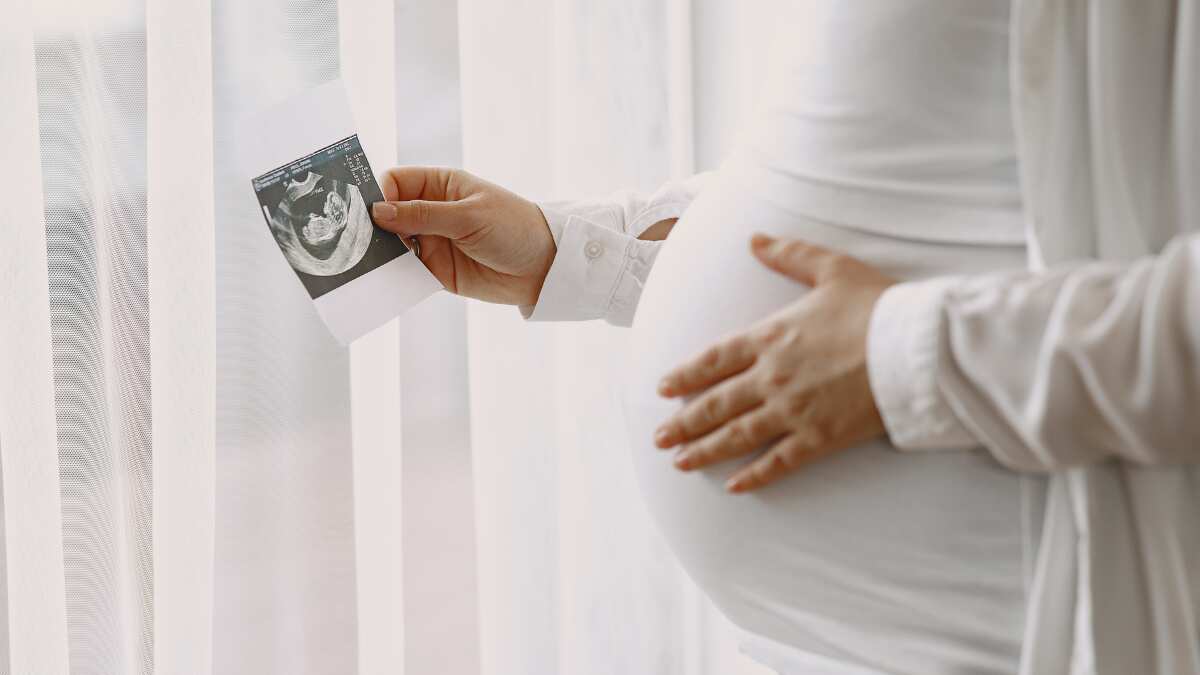 Queensland to allow children born of donated sperm or eggs to know their genetic history Queensland to allow children born of donated sperm or eggs to know their genetic history