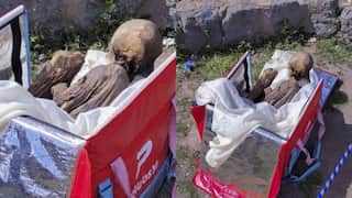 'Spiritual girlfriend': Peru police discover ancient Hispanic mummy in man's food delivery bag