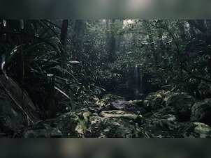 'Ate worms, drank urine': Man tells a tale of survival in Amazon forest for 31 days