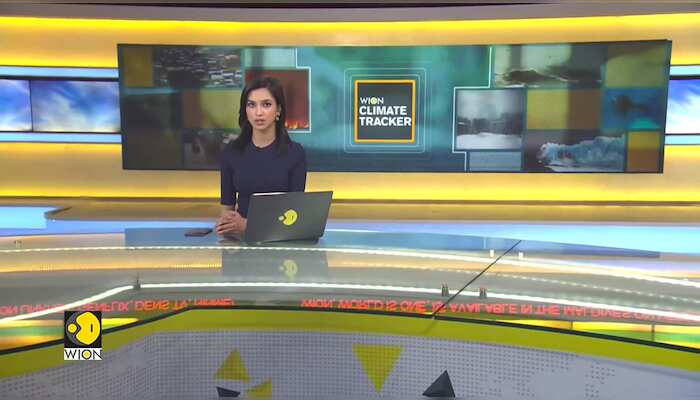 WionNews Video