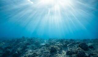 Drugs from the deep: Scientists explore ocean frontiers