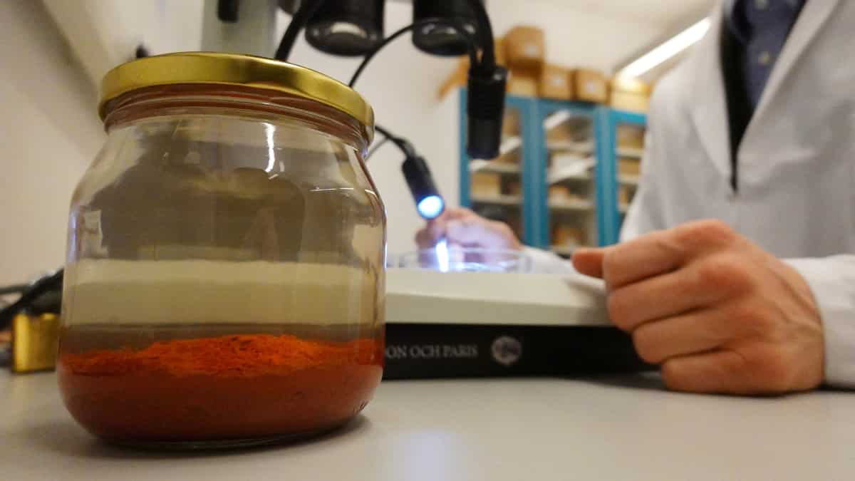 Who did they belong to?