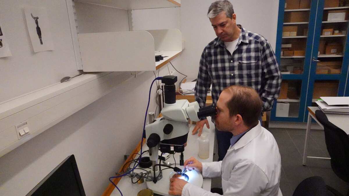 What makes this discovery unique?