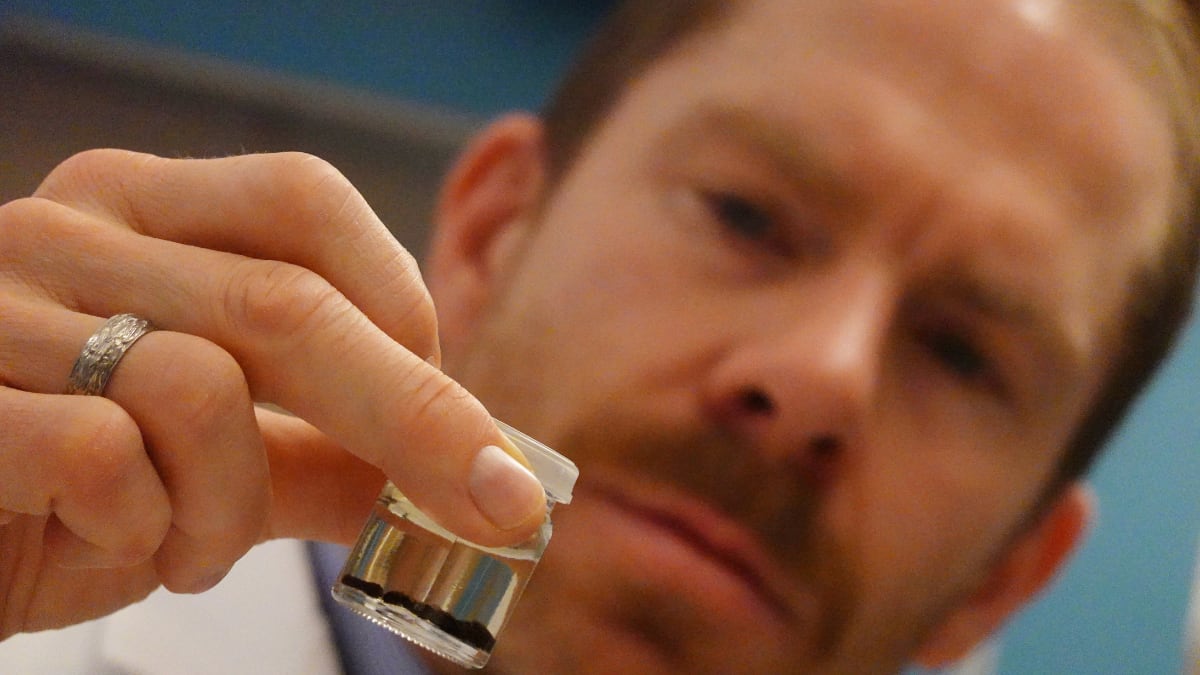 Symbol of high status