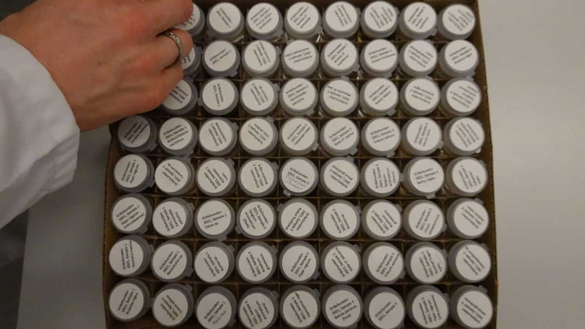 Was the cache of well-preserved spices all they found?