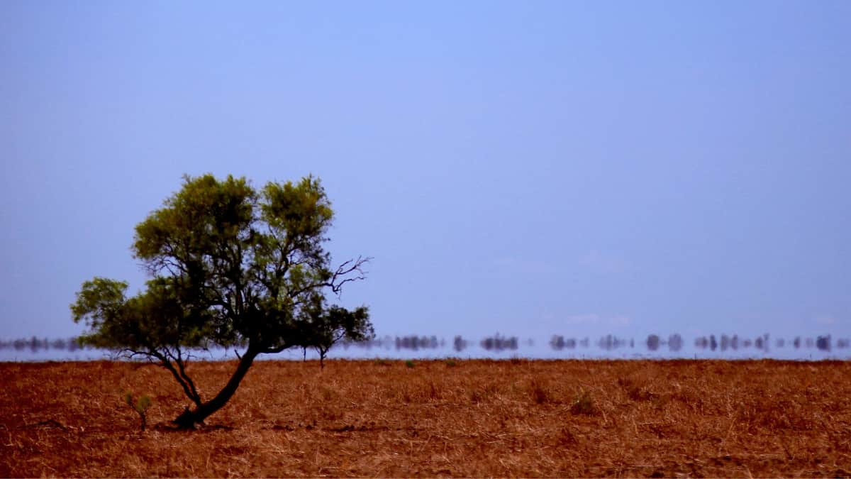 Australia faces bush fire threat as temperatures reach two-year high of 40°C Australia faces bush fire threat as temperatures reach two-year high of 40°C