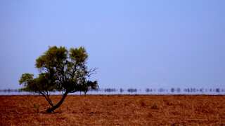 Australia faces bush fire threat as temperatures reach two-year high of 40°C