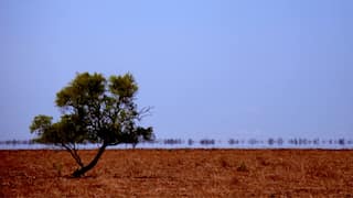 Australia faces bush fire threat as temperatures reach two-year high of 40°C