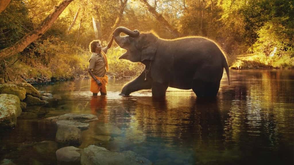 Indian film The Elephant Whisperers triumphs at Oscars 2023, wins Best Documentary Short