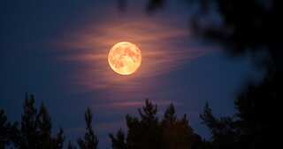 Worm Moon 2023: Witness the ball of fire in sky: Check timings in India, US & UK, full Moon calendar 2023 