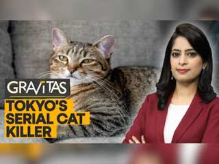 Gravitas: Beware! Serial cat killer on the loose