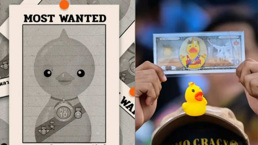 Thai man jailed for selling satirical calendar with duck in royal regalia, a symbol of pro-democracy protests