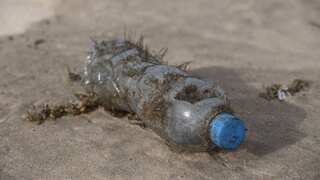 Over 170 trillion plastic particles floating in oceans, North Atlantic sea most affected: Study