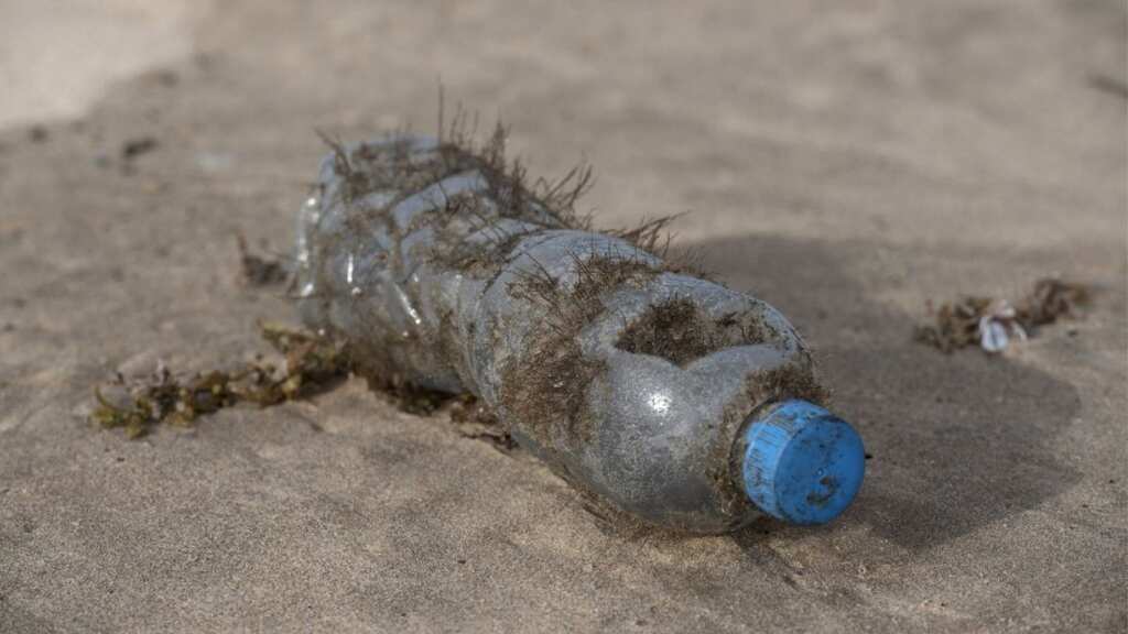 Over 170 trillion plastic particles floating in oceans, North Atlantic sea most affected: Study