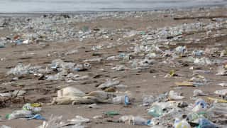 Ocean plastic pollution reaches 'unprecedented levels' since 2005