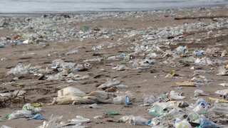 Ocean plastic pollution reaches 'unprecedented levels' since 2005
