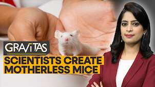 Gravitas: Are motherless humans next?
