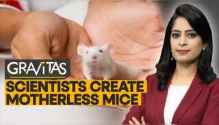 Gravitas: Are motherless humans next?