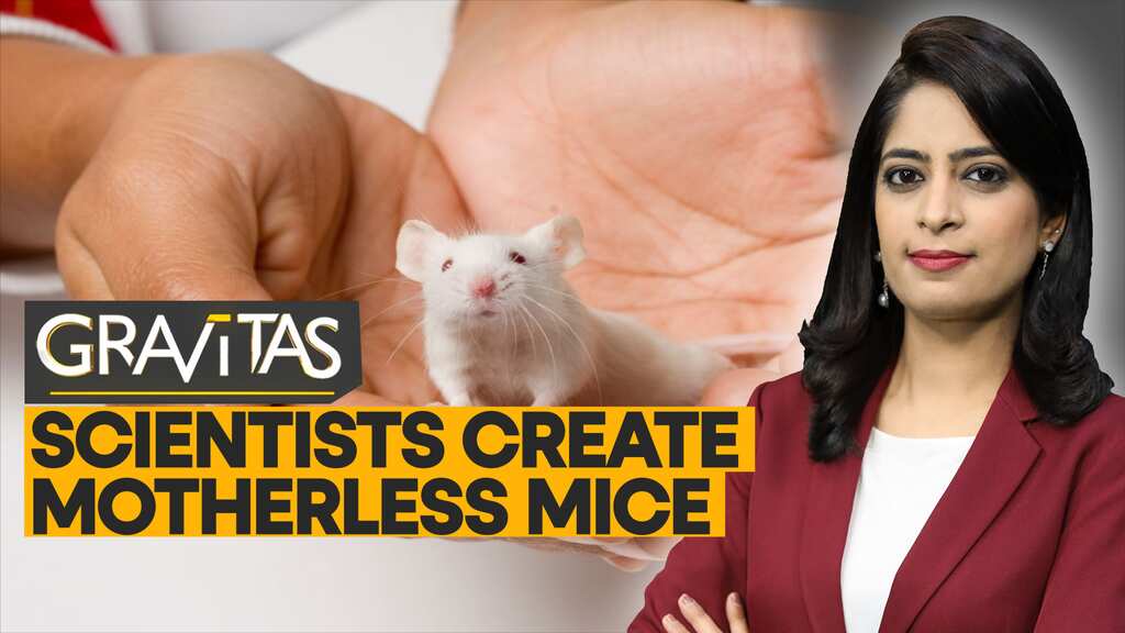 Gravitas: Are motherless humans next?