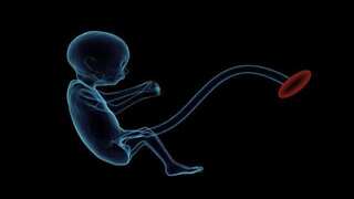 China: One-year-old child in Shanghai found hosting ‘alive unborn twin’ in brain