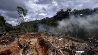 ‘Worst-ever’ data shows Feb deforestation in Amazon rainforest broke previous record by 62%