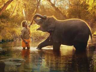 The Elephant Whisperers: How to watch the Oscar-winning Indian documentary on OTT & all you need to know