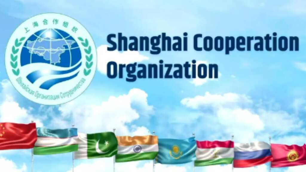 India hosts first SCO conference on Shared Buddhist Heritage