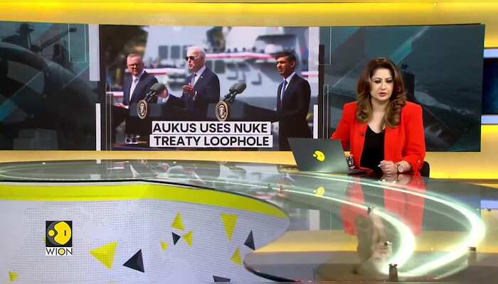WionNews Video