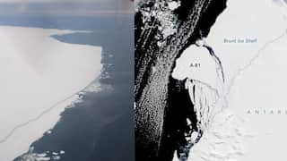 Scientists track 'Greater London-sized' iceberg fearing it may affect shipping, marine wildlife