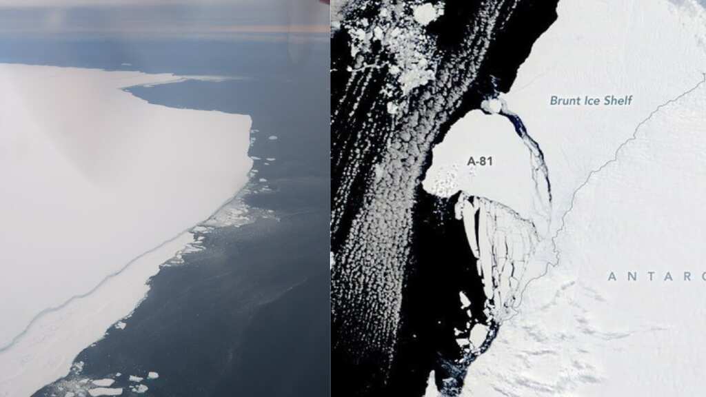 Scientists track 'Greater London-sized' iceberg fearing it may affect shipping, marine wildlife