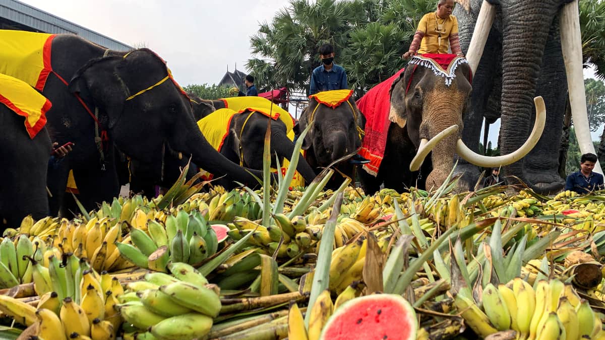 Nong Nooch Tropical Garden