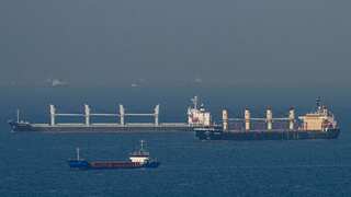 Russia extends Black Sea grain deal for another 60 days: State media