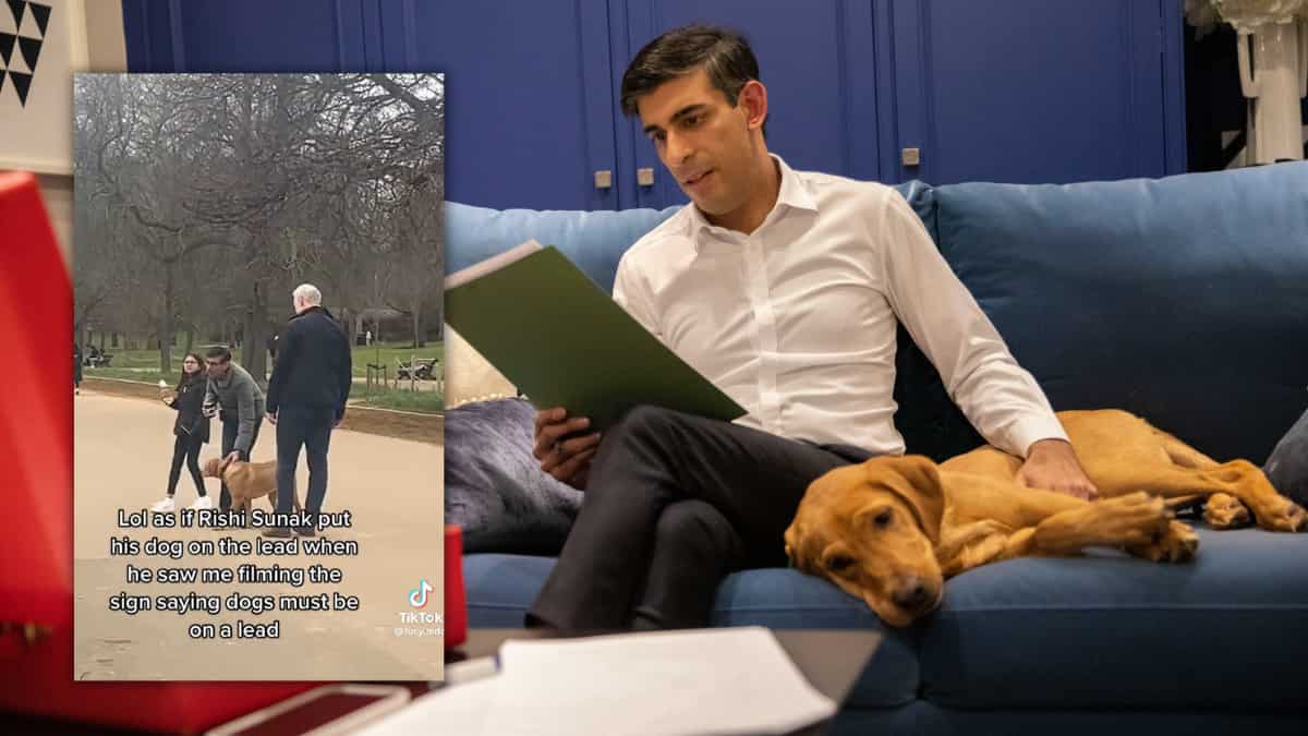 Dog row: Rishi Sunak's 'off leash' escapade gets him a reminder from police. Watch video here Dog row: Rishi Sunak's 'off leash' escapade gets him a reminder from police. Watch video here