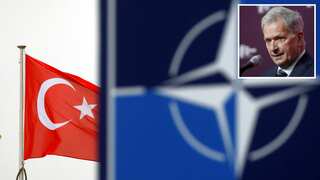 Finland claims Turkey has reached decision on its NATO membership bid