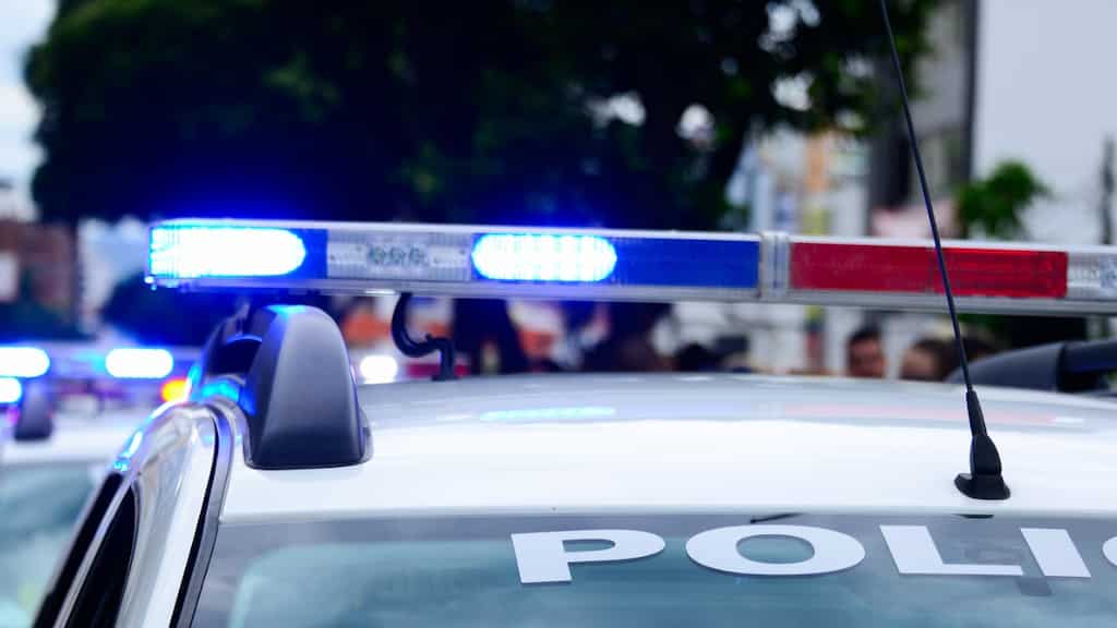 US man facing eviction ‘kills’ landlord with axe, stashes body in nearby woods