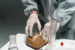 UN drugs agency says global supply of cocaine is at record levels