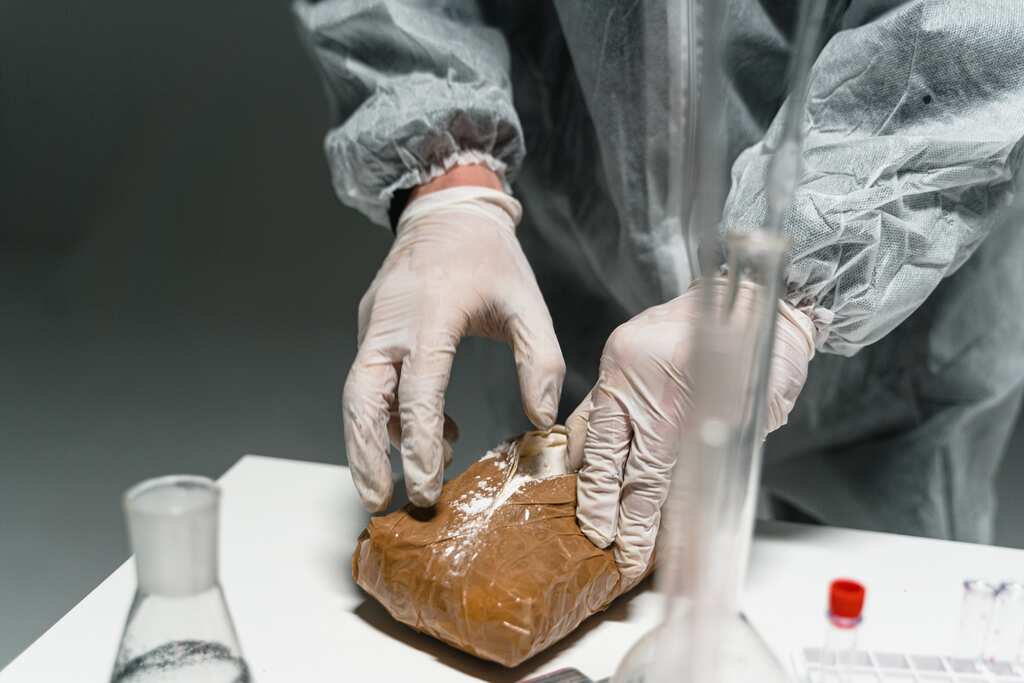UN drugs agency says global supply of cocaine is at record levels