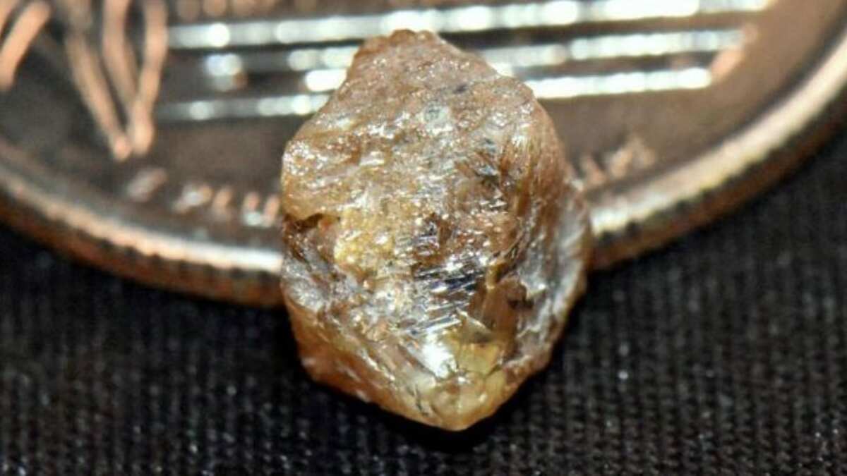 Visitor discovers 'Big Ugly Diamond' in US state park World News(02)