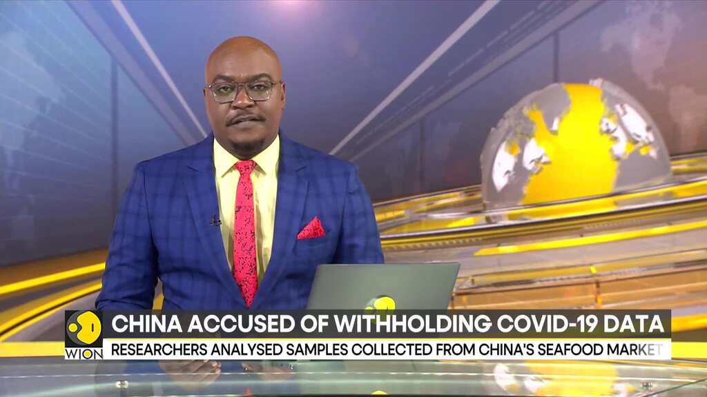 China accused of withholding Covid-19 data, study links virus origins with Raccoon Dogs