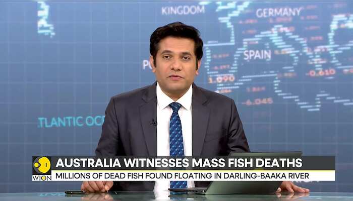 WionNews Video