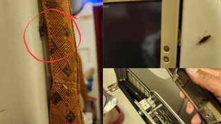 Broken seats, cockroaches! UN official expresses disappointment over Air India flight