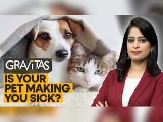 Gravitas: Pets passing on drug-resistant bacteria to owners?