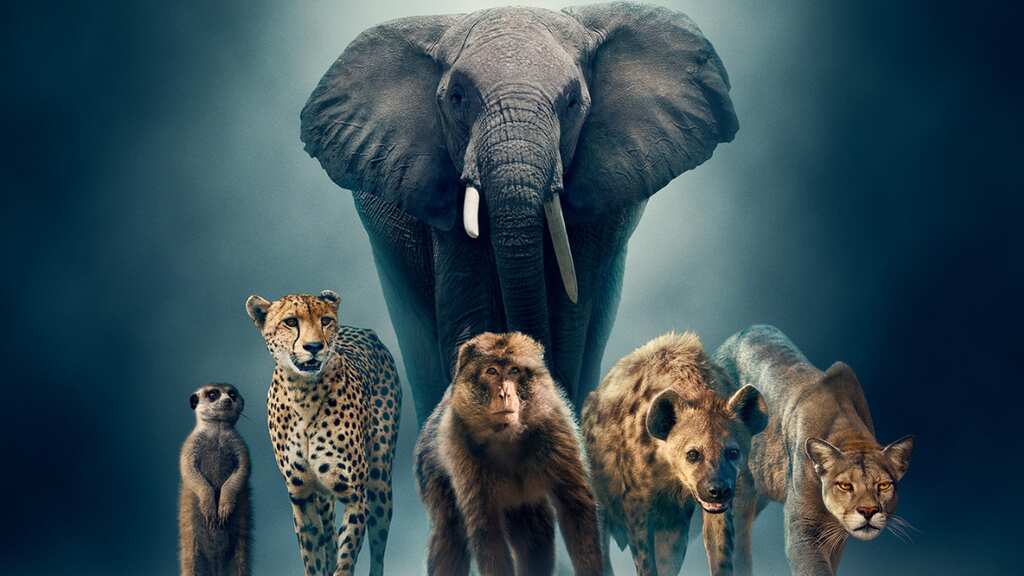 Dynasties II review: David Attenborough brings wildlife narratives to life in breathtaking second season